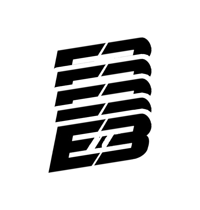 E3 Stickers - 5 pack